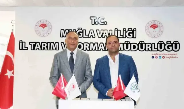 Muğla'da 5 bin büyükbaş hayvan aşılanacak