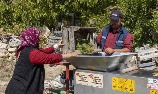 Üzüm sıkma makinesi çalışıyor, üretici keyfine bakıyor