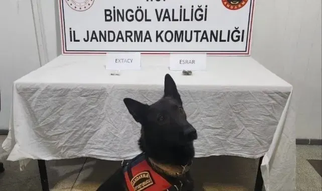 Bingöl'de jandarma ekipler suçlulara göz açtırmıyor