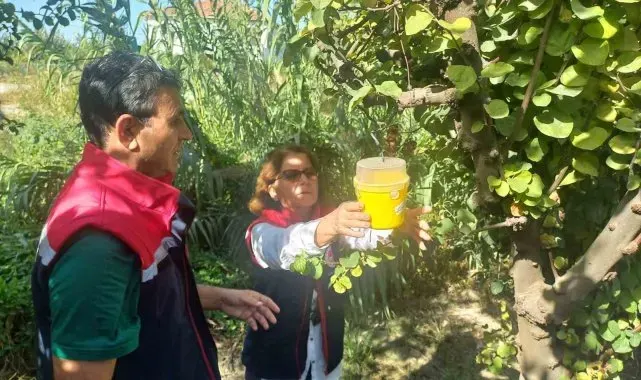 İl Tarım'dan üreticilere 'ilaçlama' çağrısı