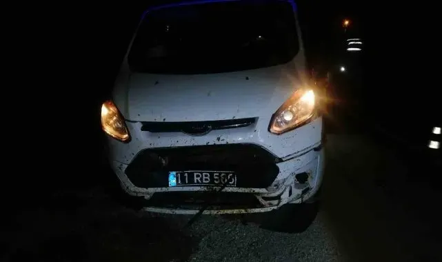 Bilecik'te aracın çarptığı 3 koyun telef oldu