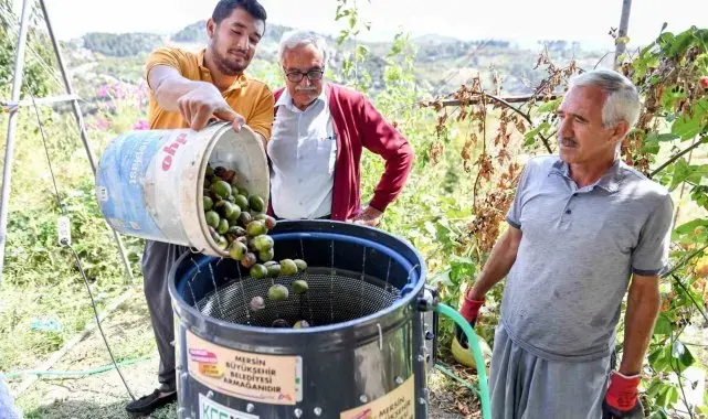 Belediyeden üreticilere 'ceviz soyma makinesi' desteği