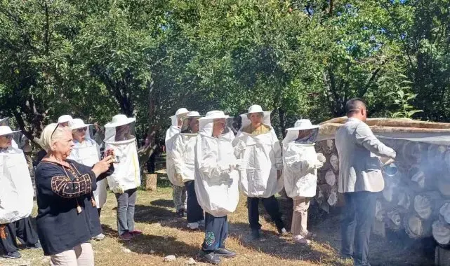 Yerli turistler Van'da bal hasadı yaptı