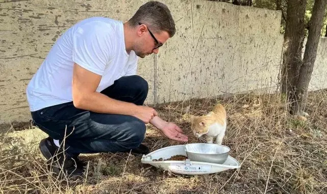 Doğadaki hayvanlar için koruma çalışmaları devam ediyor