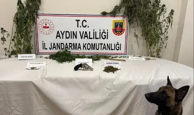 Koçarlı'da uyuşturucu baskını: 1 gözaltı
