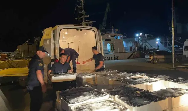 Kastamonu'da 162 kasa küçük balık ele geçirildi