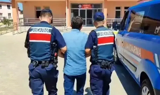 Sakarya'da uyuşturucu ve kaçakçılık operasyonları: 16 tutuklama