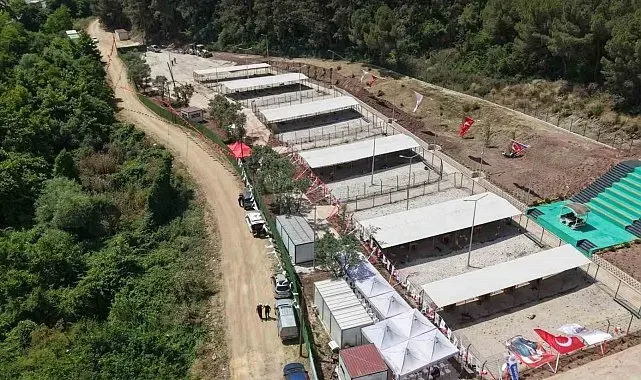 Bursa Hayvan Hakları Platformu'ndan Gemlik Belediyesi'ne tepki: "Kapıları açın"