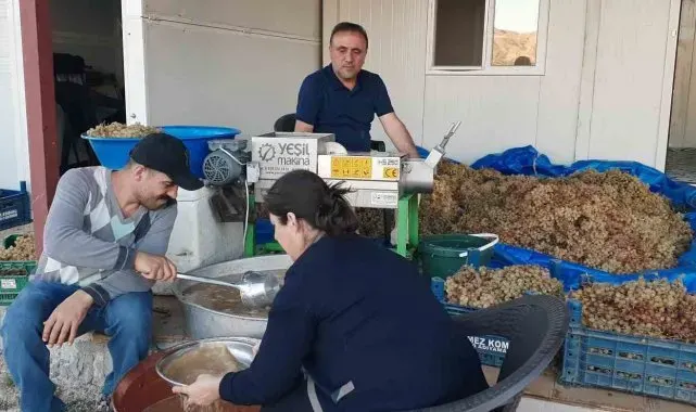 Bağbozumunda teknolojik aletler kullanılıyor
