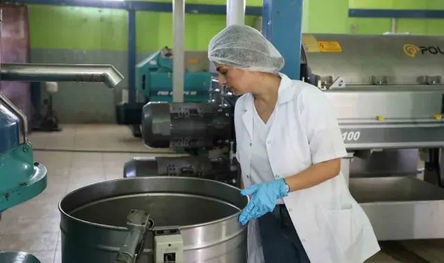 Zeytin hasadı öncesi fabrikalarda sıkı denetim