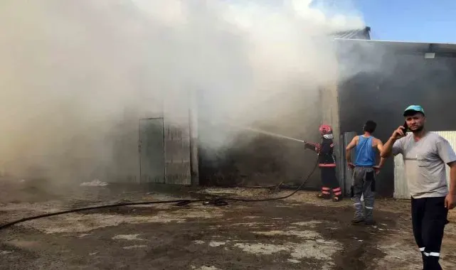 Sakarya'da 2 ahır ve 2 samanlık alevlere teslim oldu: 1 yaralı