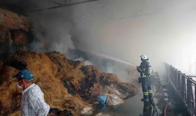 Samanlıkta çıkan yangında 250 balya saman kül oldu