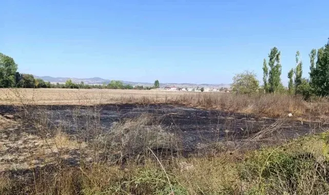 Tavşanlı'da arazide çıkan yangın kısa sürede söndürüldü