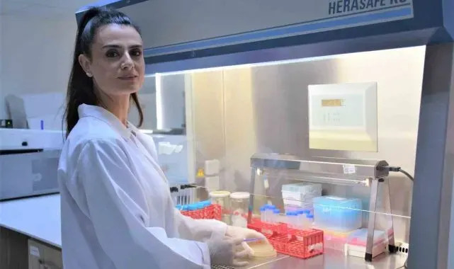 Keşfedilen bakteriyofajlar, Yakın Doğu Üniversitesi'nin adıyla tescil edildi