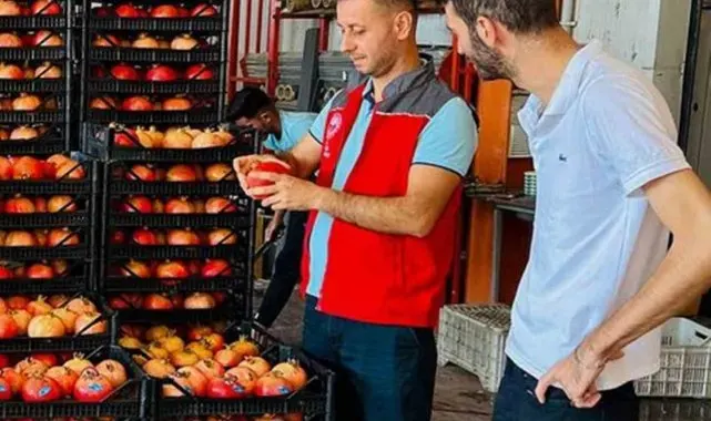 Ortaca'da nar hasadı heyecanı