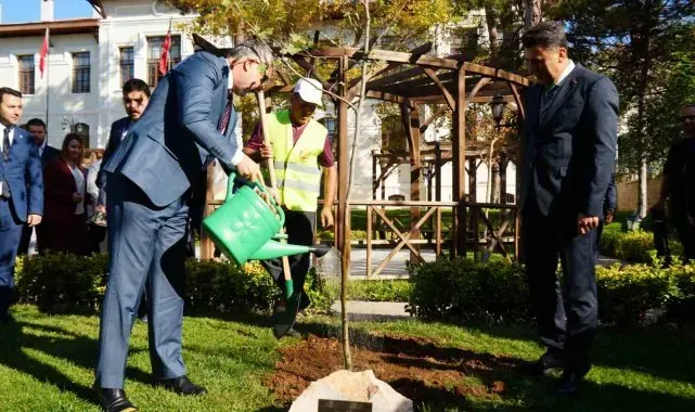 Bakan Işıkhan, Bilecik'te çınar fidanı dikti