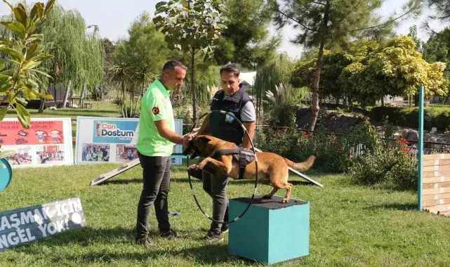 Minik öğrenciler eğitimli köpeklerin gösterisine hayran kaldı