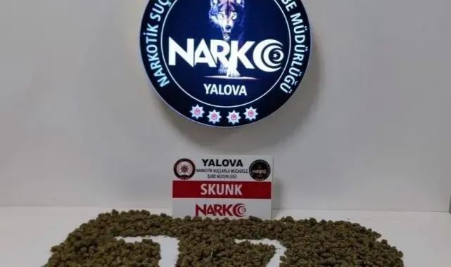 Yalova'da uyuşturucu operasyonunda 2 tutuklama