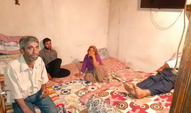 Şiddete maruz kalan çoban Nail'in hayatı yürek burktu