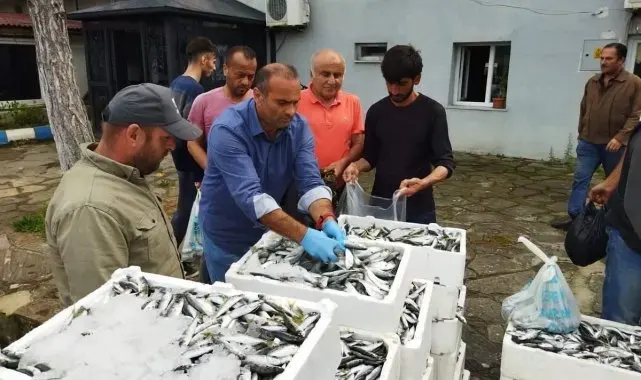 Sinop'ta yasa dışı avlanan 70 kasa balığa el konuldu