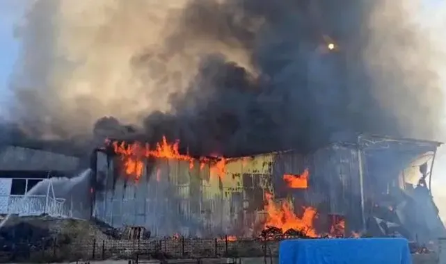 Balık yemi paketleme fabrikası alevlere teslim oldu