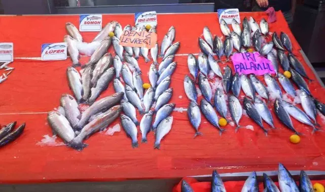 Palamut fiyatları 150 liraya yükseldi