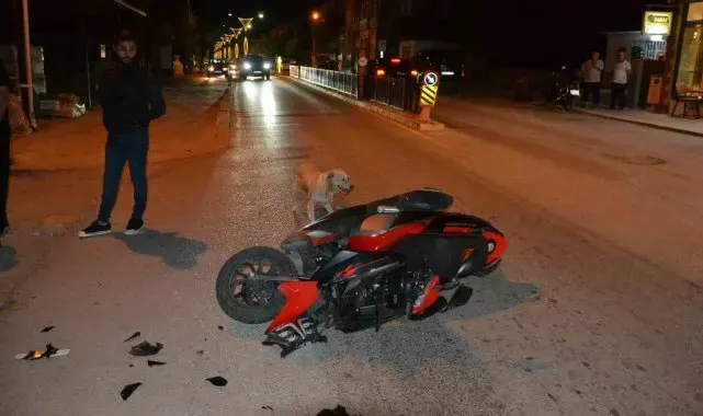 Keşan'da devrilen motosikletten düşen sürücü yaralandı