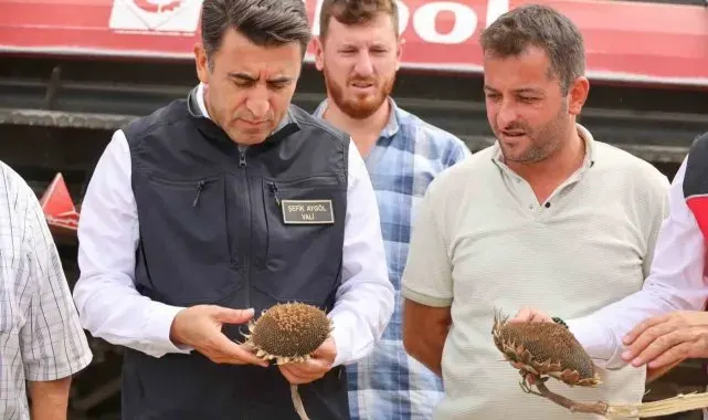 Bilecik'te bu yıl ayçiçeği rekoltesinde artış yaşandı