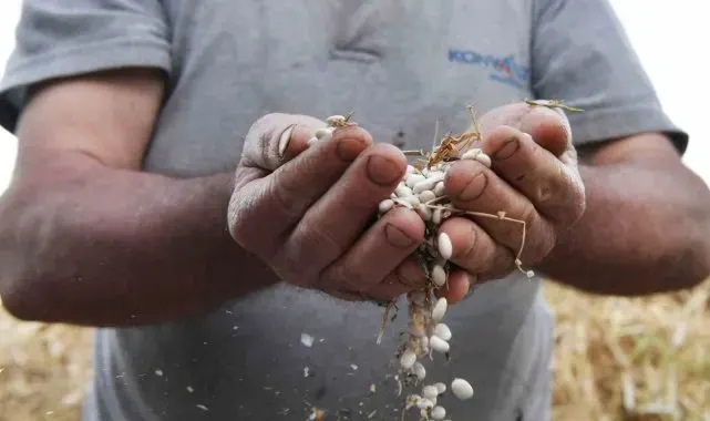 Yarbaşçandır Yayla Şenliği hava muhalefeti nedeniyle iptal oldu