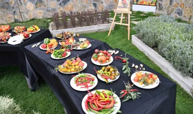Pursaklar'da ata tohumlarından elde edilen sebzeler sergileniyor