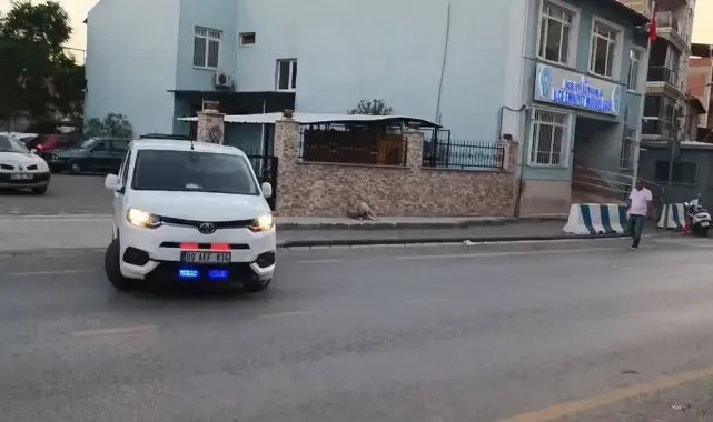 Acarlar Polisi, kaçakçılığa geçit vermedi