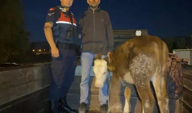 Kayseri'de çalındı, Kahramanmaraş'ta bulundu