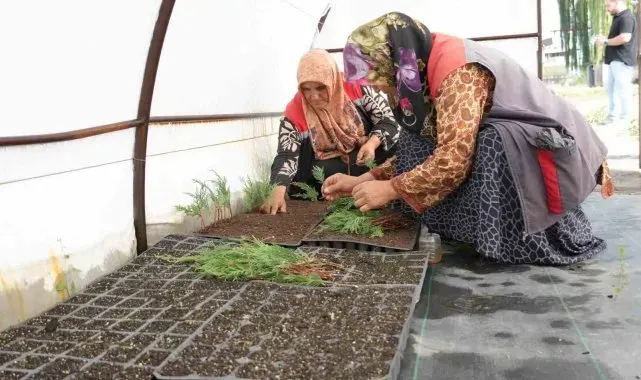Düzce'de tarımda yenilikçi adımlar