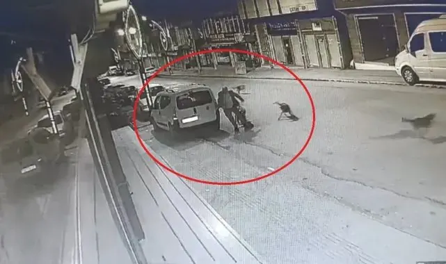 Sokak köpeklerinin saldırı anı kamerada