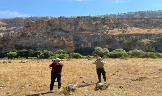 Şırnak'ta kaçak avcılığa karşı ekipler denetimlere devam ediyor