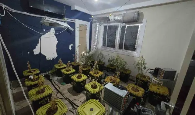Apartmana uyuşturucu serası kurdular