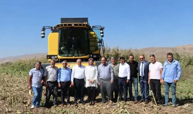 Kaymakam Duman ayçiçeği hasadına katıldı