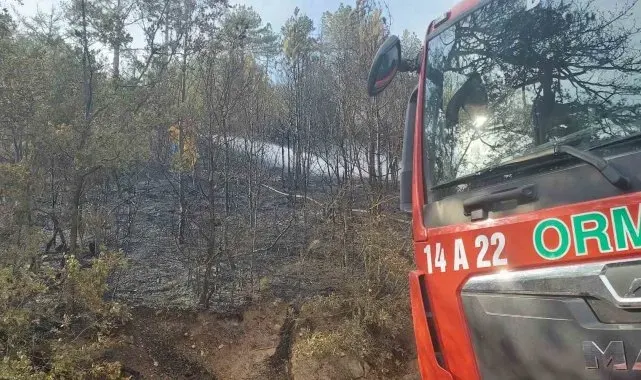 Bolu'da orman yangını kontrol altına alındı
