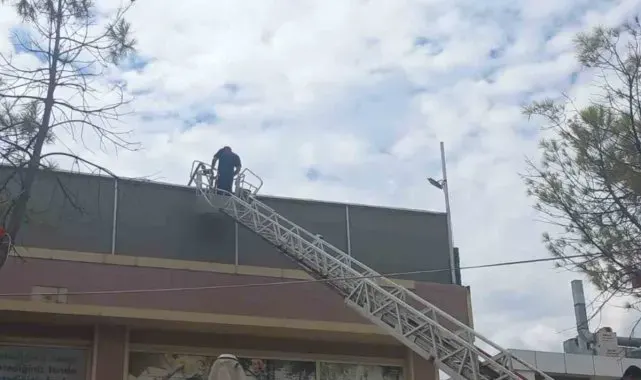 Menteşe'de restoran bacasında yangın korkuttu