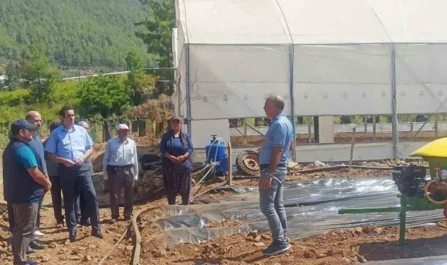 Kaymakam Topsakaloğlu, çilek serasında incelemelerde bulundu