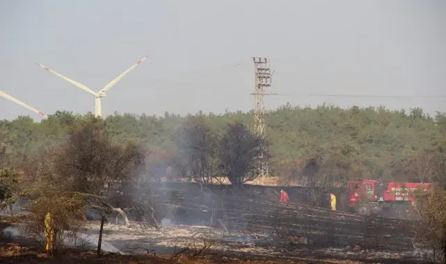 Çanakkale'de tarım arazisinde yangın