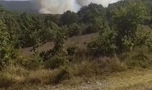 Kocaeli'de orman yangını