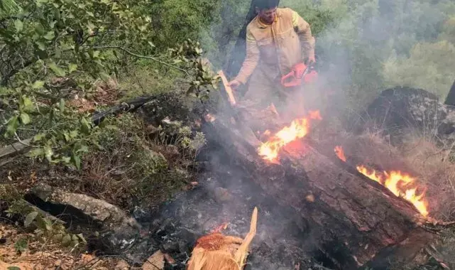 Muğla'da 5 günde 50 yıldırım yangını