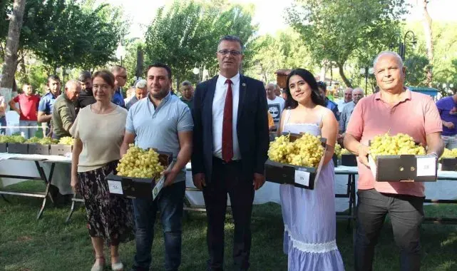 Alaşehir'in en güzel üzümü seçildi