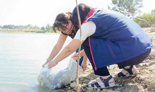 Aydın'da 1 milyon 215 bin yavru sazan balığı göletlere bırakıldı
