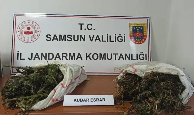 Samsun'da jandarma 6 kilo 930 gram kubar esrar ele geçirdi