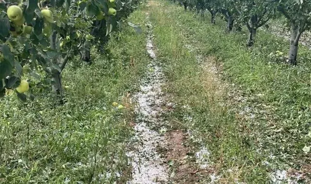 Eğirdir'de etkili olan dolu meyve bahçelerine zarar verdi