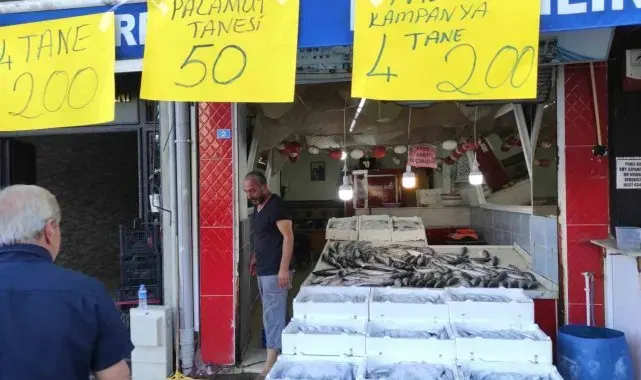 Av yasağı bitti, tezgahlar palamutla doldu