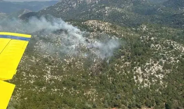 Burdur'da yıldırım düşmesi sonucu çıkan orman yangını söndürüldü