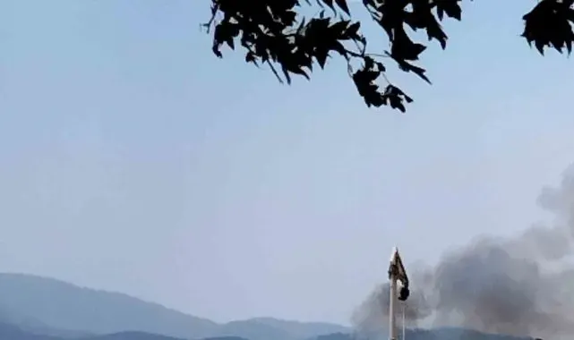 Muğla'daki sazlık yangını söndürüldü